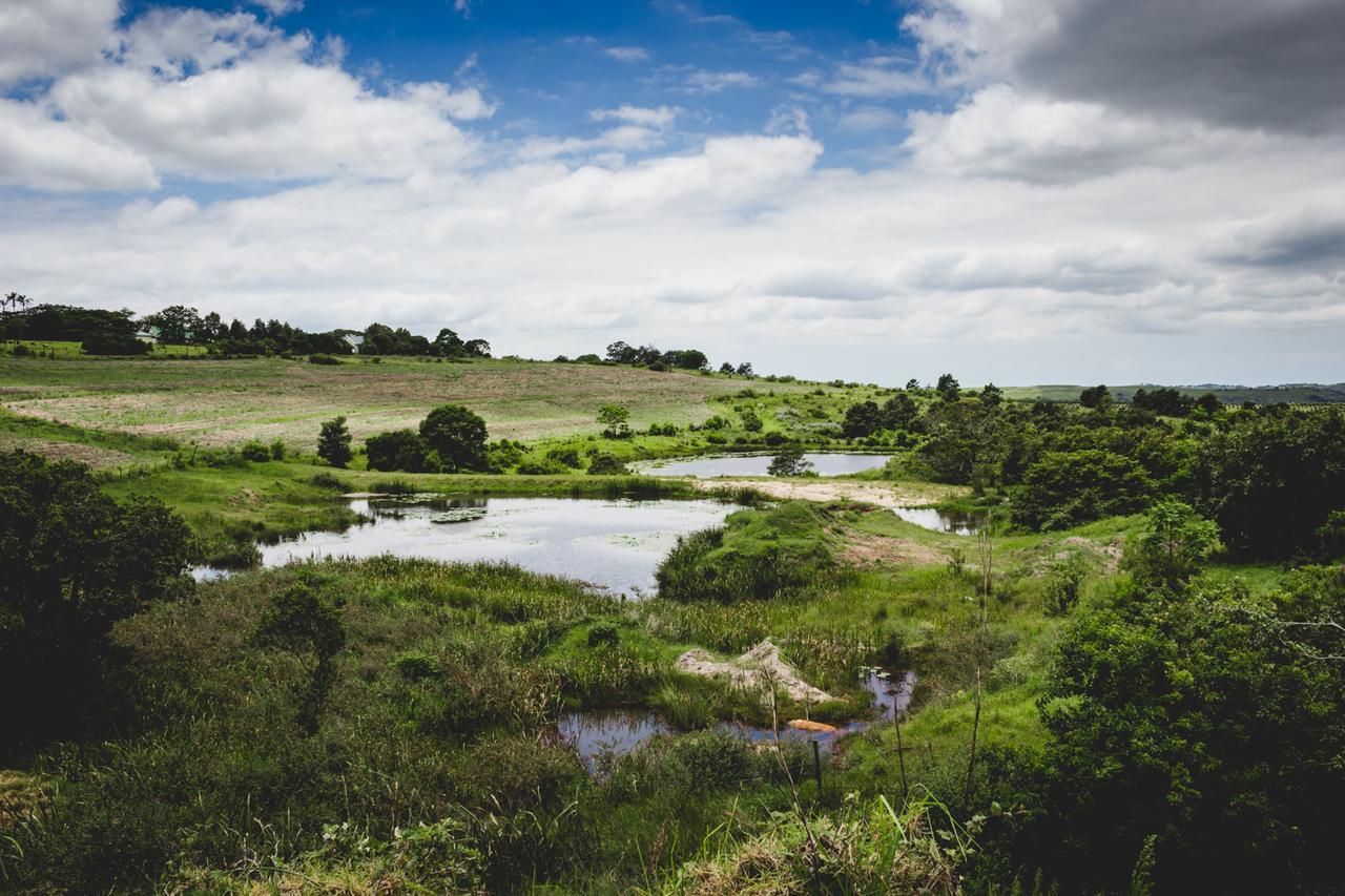 Oribi Gorge Guest Farm 호텔 Glendale 외부 사진